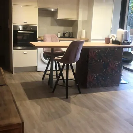 아파트 Adorable De 60 M2 Avec Terrasse Privee De 100m2 -lumineux - Calme Et Verdure A 10 Min De La 케인즈수르메르